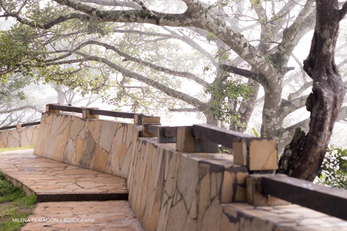 Mirador del cañón del sumidero