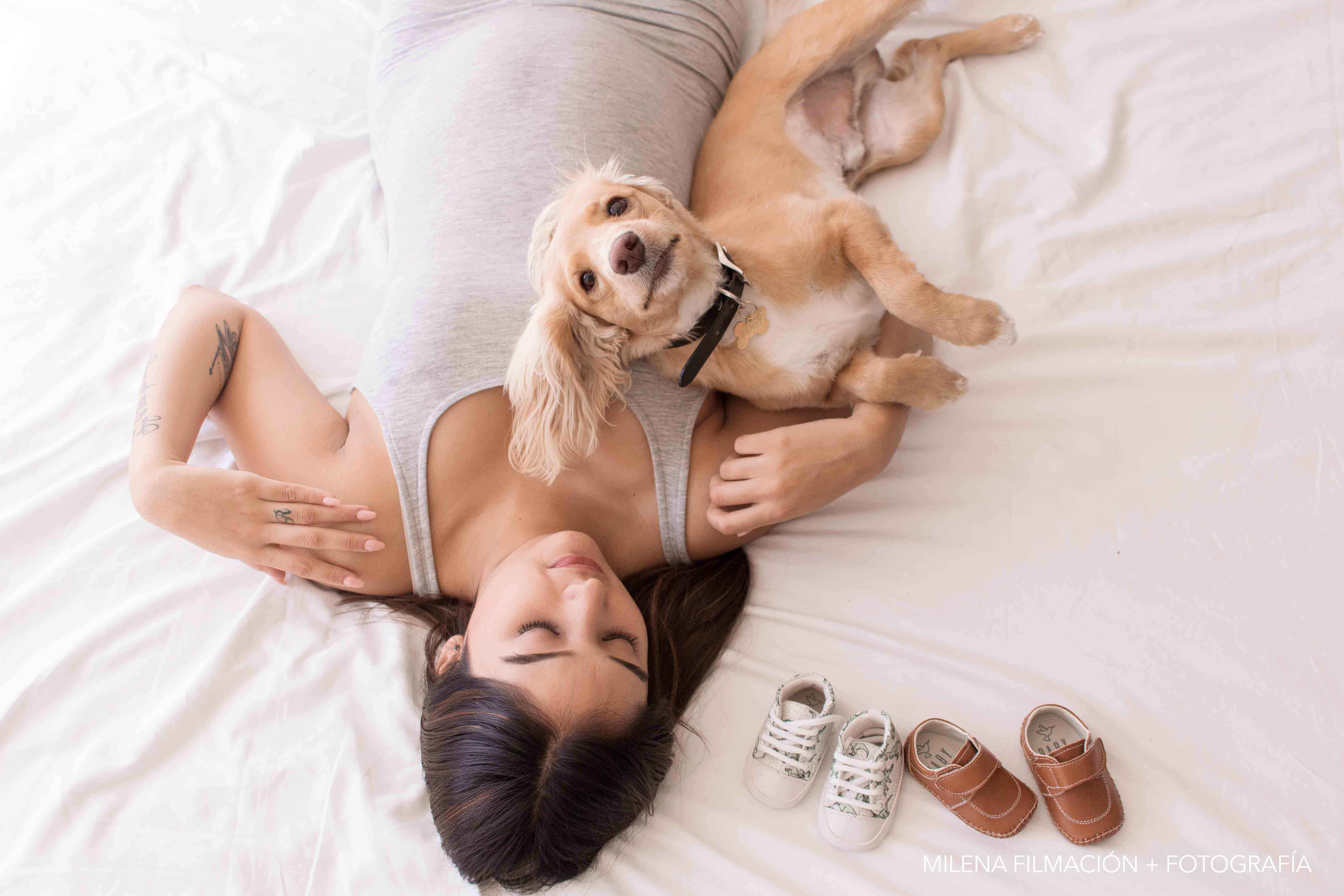 Sesión embaraza en cuarto con mascota y luz natural en la cama
