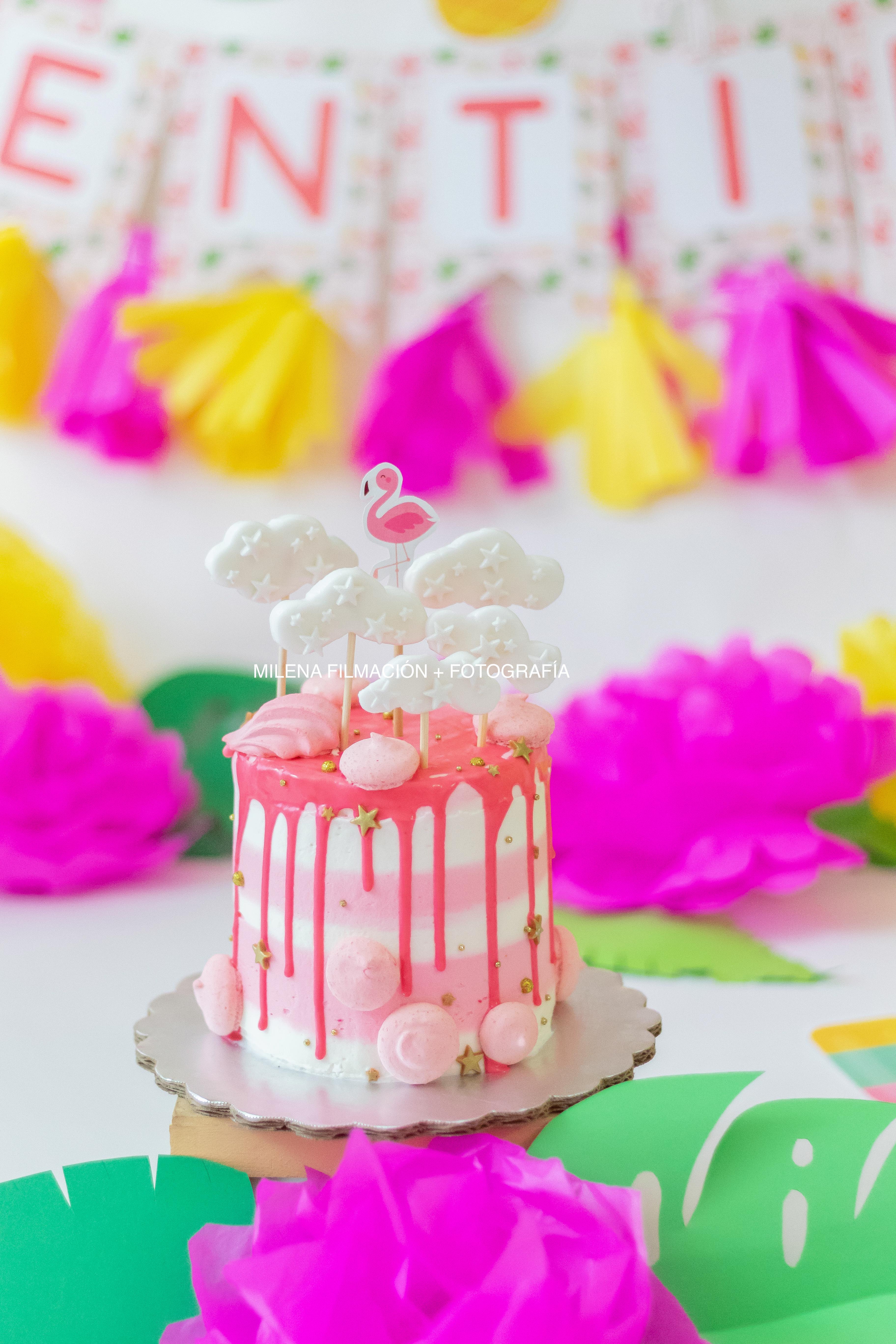 pastel rosa dorado flamenco nubes hojas verdes