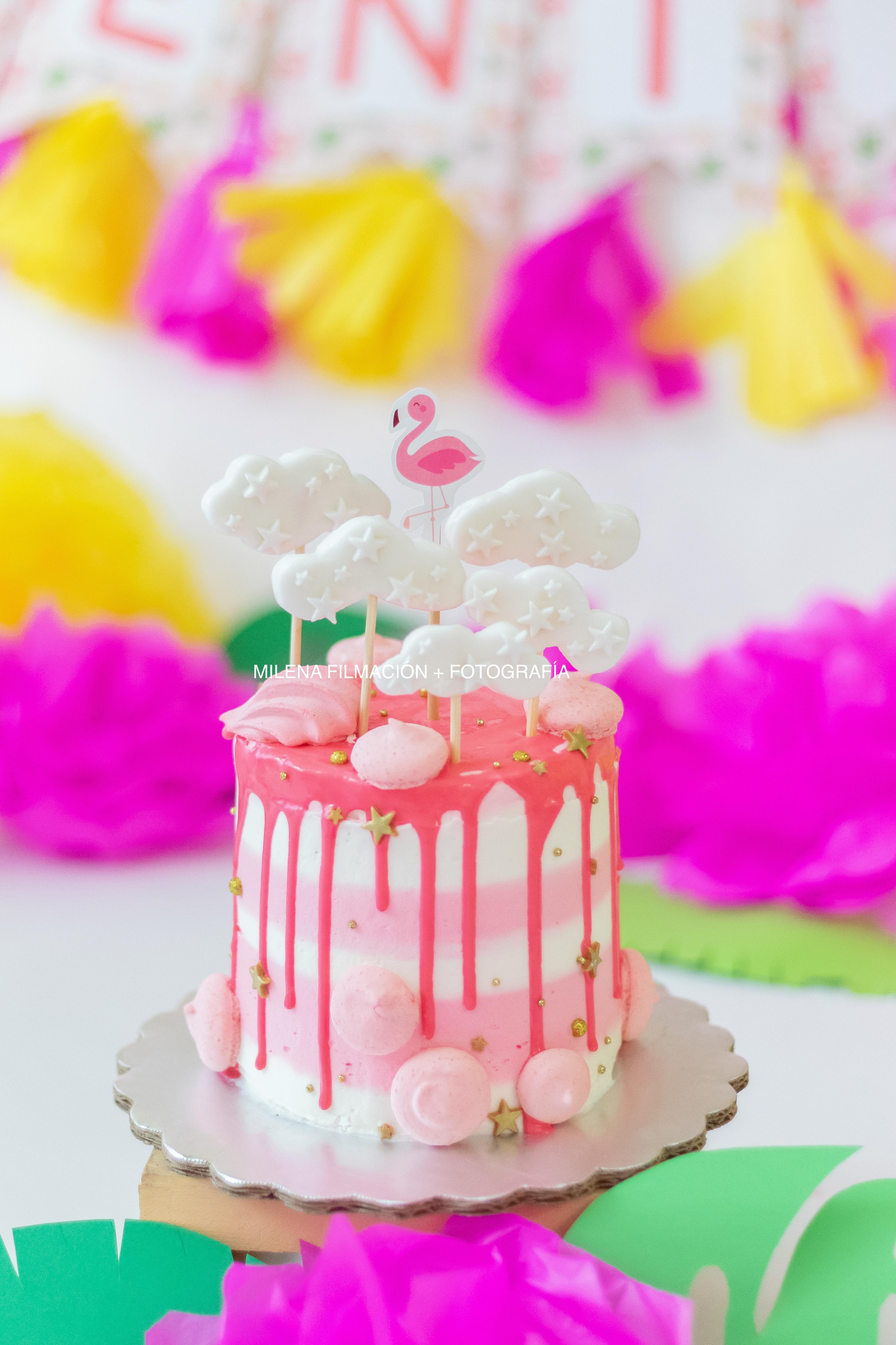 pastel rosa flamenco