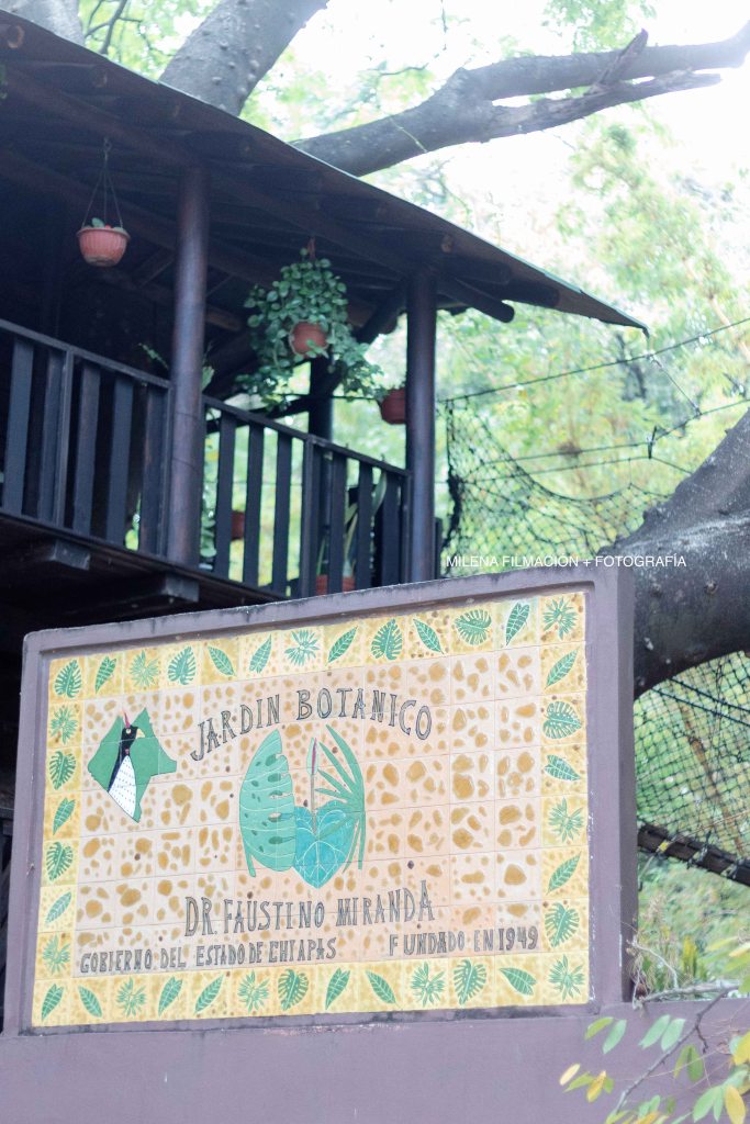 Jardín Botánico Dr. Faustino Miranda