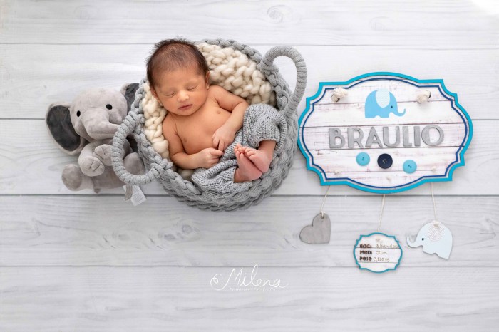 bebé sesión newborn elefante