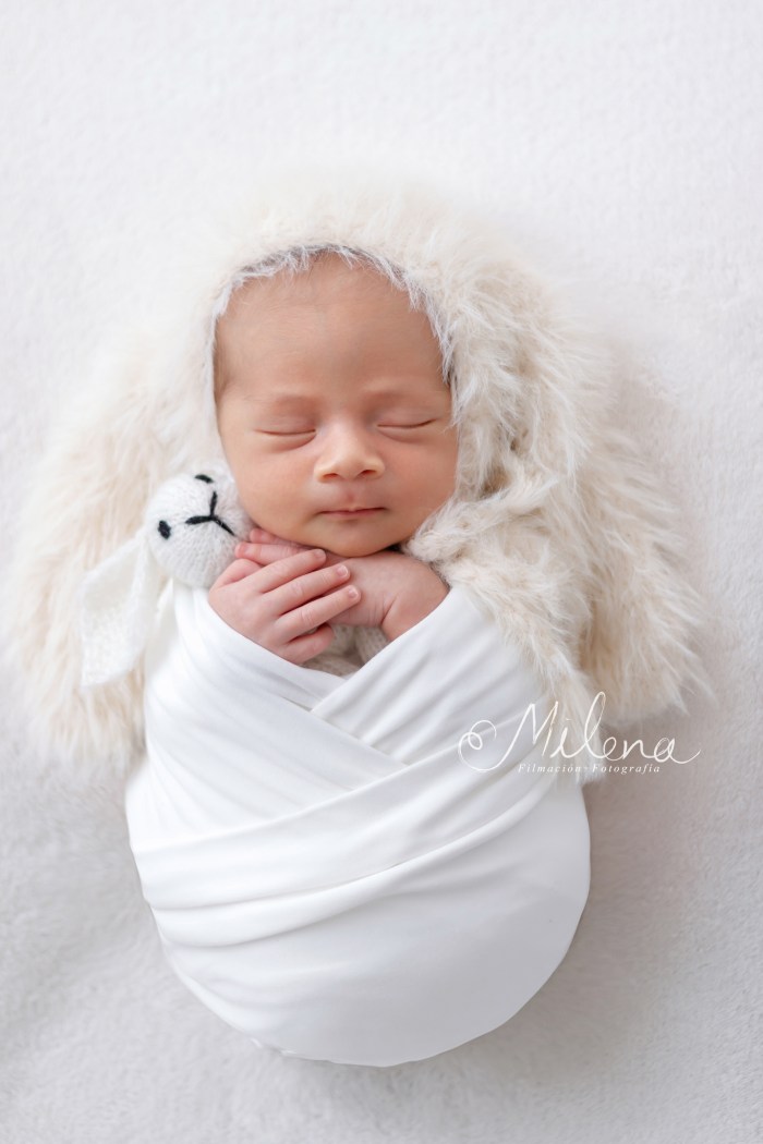 Fotografía newborn tuxtla bebé conejo